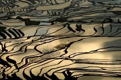 Winter cameos with Heather Angel