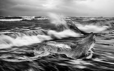 Part One: Jewels of the Sea by Rick Sammon