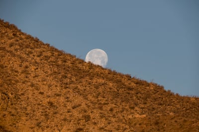 #myRRSstory: Todd Abbotts