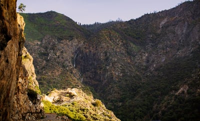 Using a leveling base for Forensic Work by Abbe Lyle