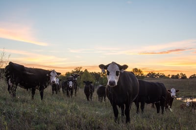 #MyRRSstory: Paul Raymaker