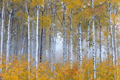 #MyRRSstory: Chuck Jason