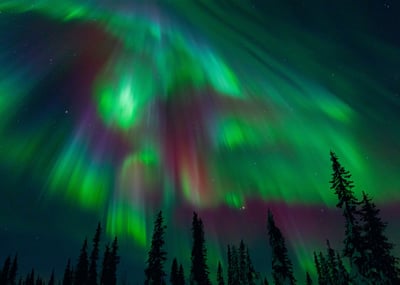 Green for Miles Morgan