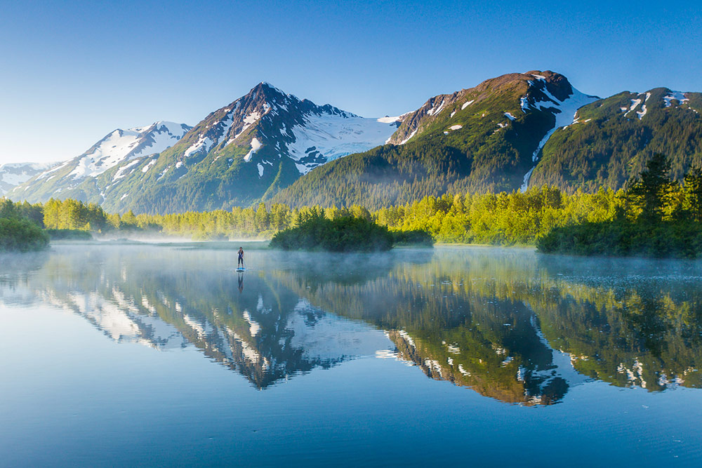 Alaska - 2024 Nature Photograph - Alaskan Blues