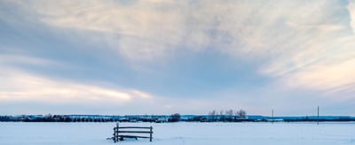 Winter Wildlife with Joseph M. Johnson Sr.