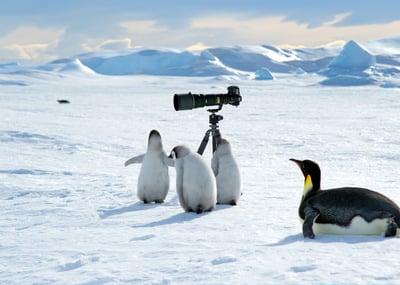 Getting to Snow Hill: Part II