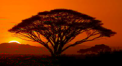 Raw & Unedited A RRS Interview with Rick Sammon