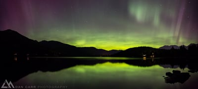 Whistler by Dan Carr