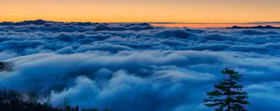 Elements of Composition