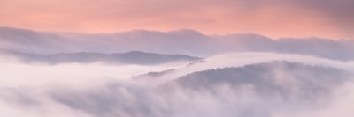 The Great Smoky Mountains with Tony Sweet