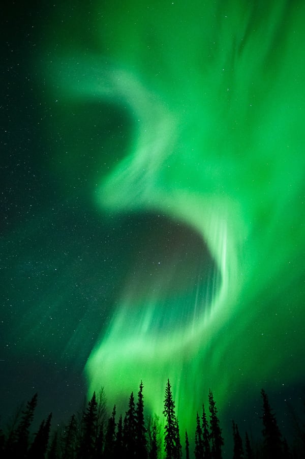 Green snakes from the Aurora lights.