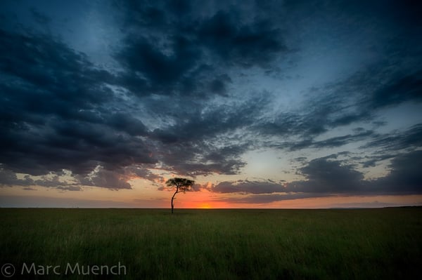 Maasai Mara National Resserve