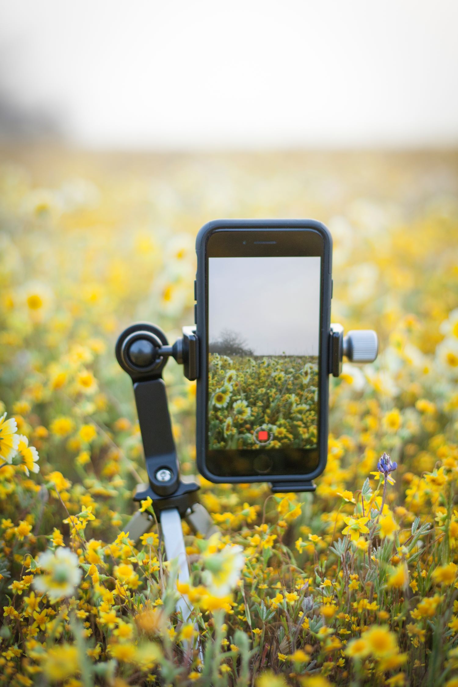 Time-Lapse, Simplified By Jason Rath